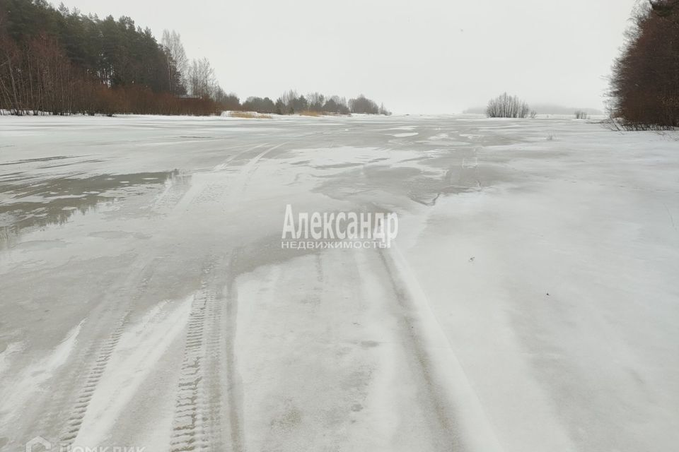 земля р-н Выборгский фото 8