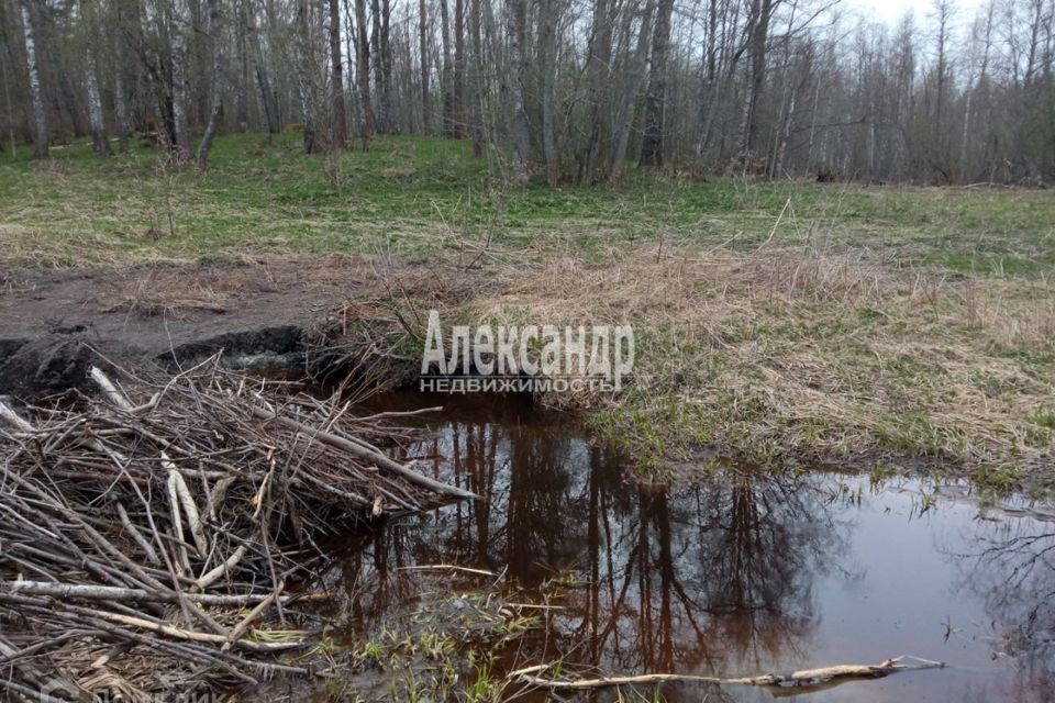 земля р-н Приозерский пос. Торфяное фото 5