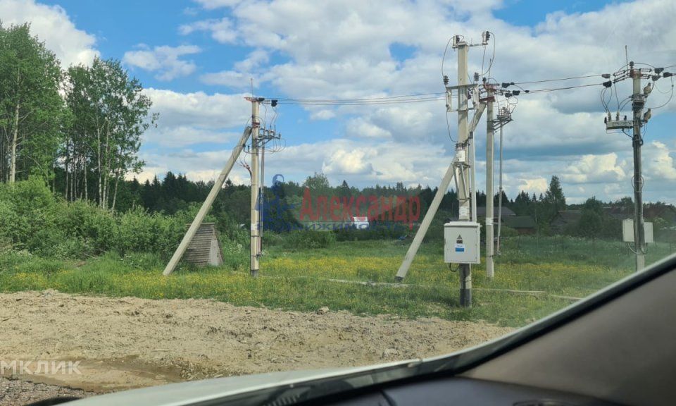 земля р-н Тосненский садоводческий массив Западное Радофинниково, СНТ Светлана фото 5