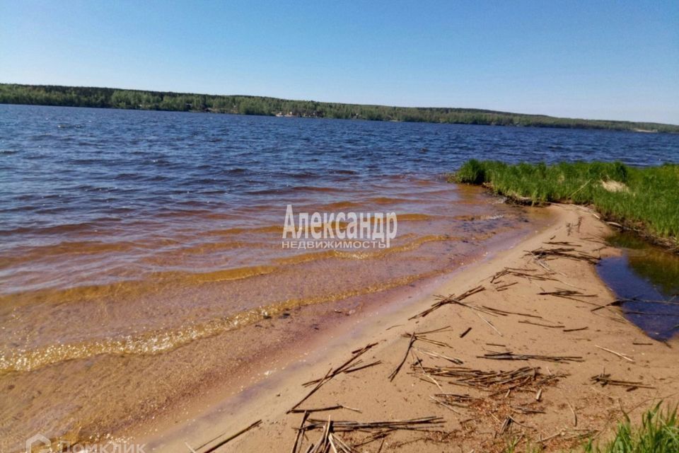 земля р-н Выборгский пос. Клеверное фото 7