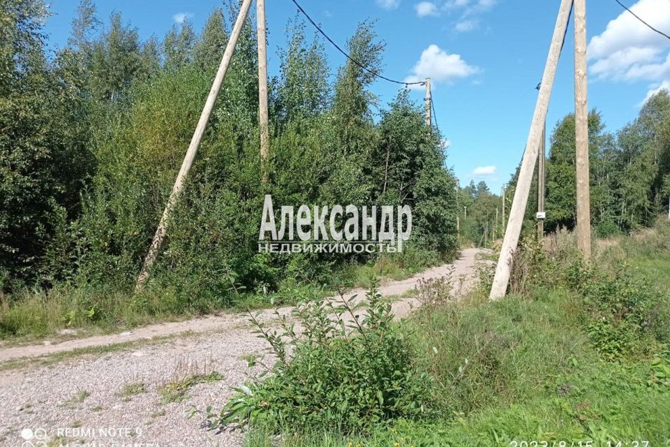 земля р-н Приозерский фото 5