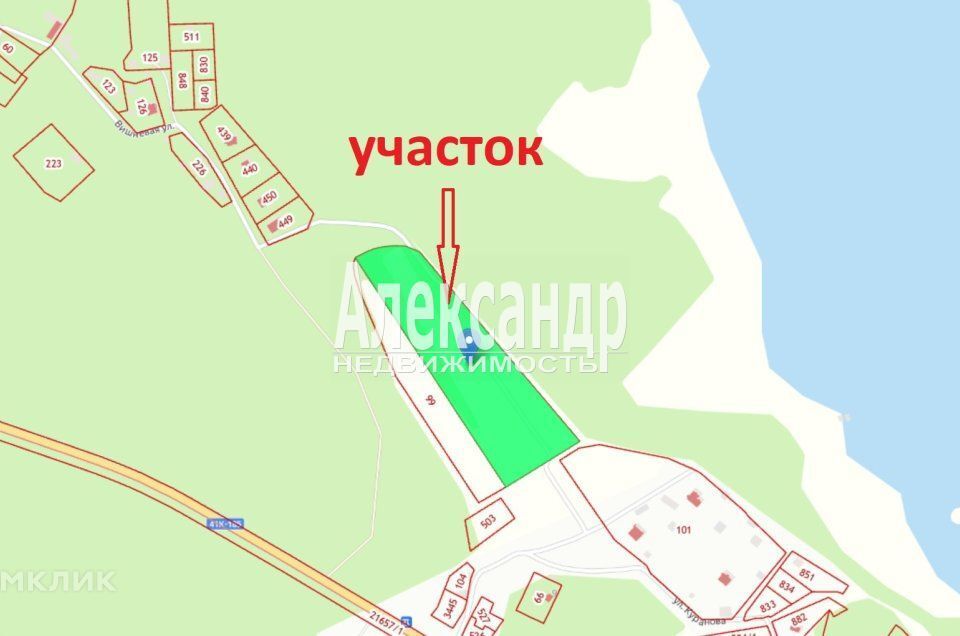 земля р-н Приозерский фото 9