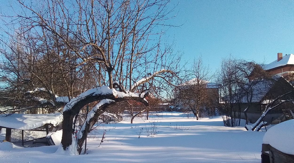 земля городской округ Ленинский д Ащерино Домодедовская, 27 фото 14