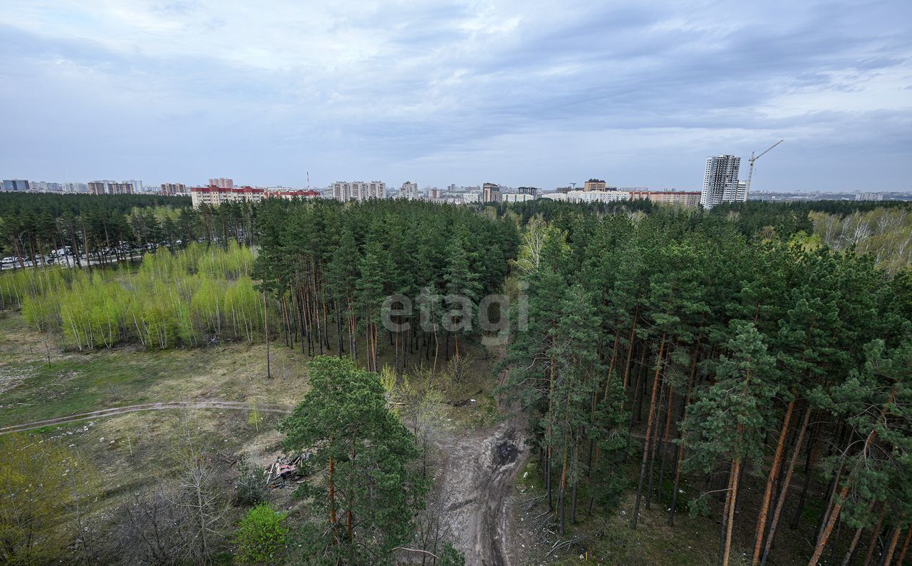 квартира г Воронеж р-н Советский ул 9 Января 241/11 фото 14