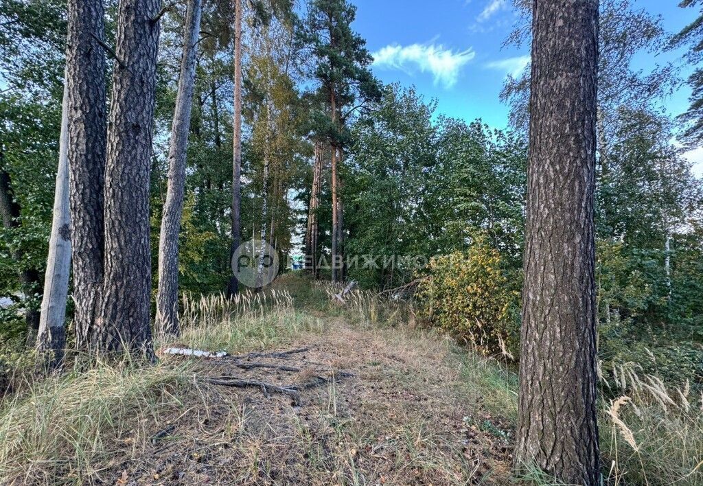 земля р-н Рязанский п Ласковский ул Лесная Заборьевское сельское поселение, Рязань фото 6