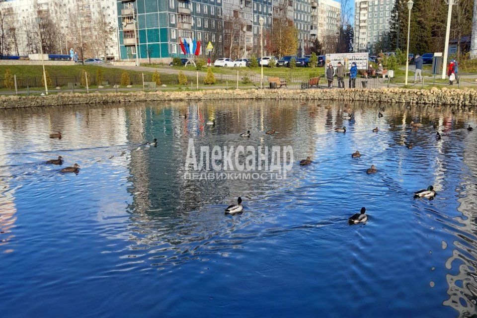 квартира р-н Всеволожский г Сертолово Молодцова, 11 фото 4