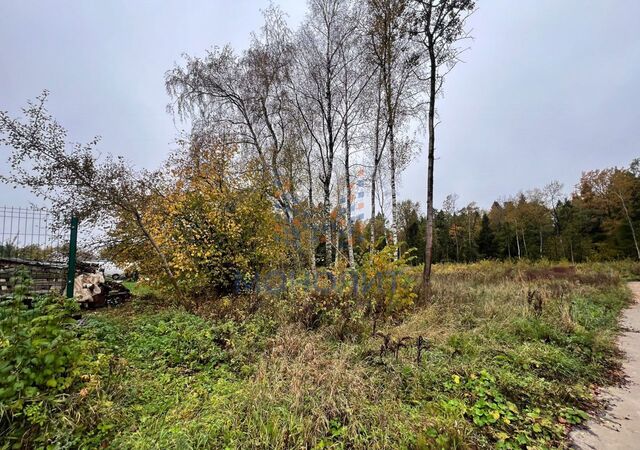 земля городской округ Пушкинский п Софрино 28 км, коттеджный пос. Цернское-2, 171, Ярославское шоссе фото