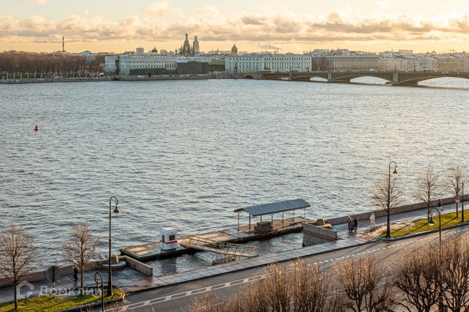 квартира г Санкт-Петербург наб Петровская 8 ул Мичуринская Петроградский фото 7