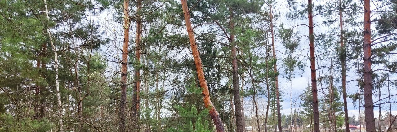 земля городской округ Богородский Восточная деревня кп, Железнодорожная фото 4