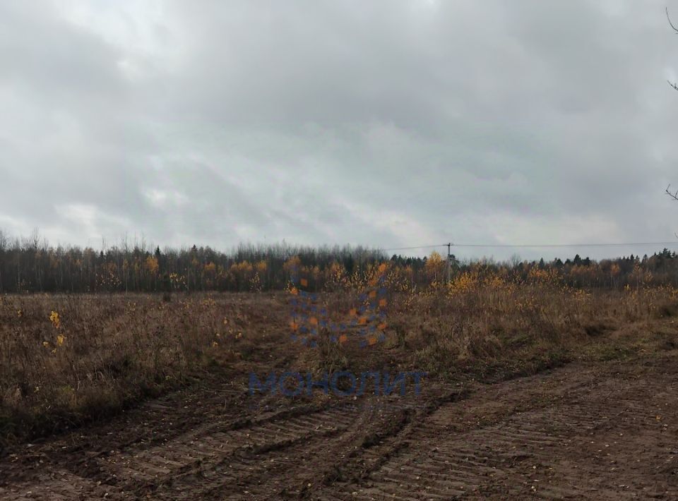 офис городской округ Раменский д Заболотье Домодедовская фото 2