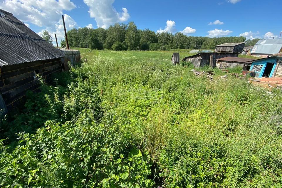 дом р-н Новосибирский село Быково фото 3