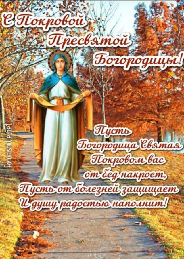 комната городской округ Дмитровский мкр-н имени К. А. Аверьянова, 19, Дмитров фото 1