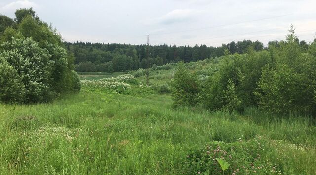 д Царевское с пос, Пушкинский городской округ фото