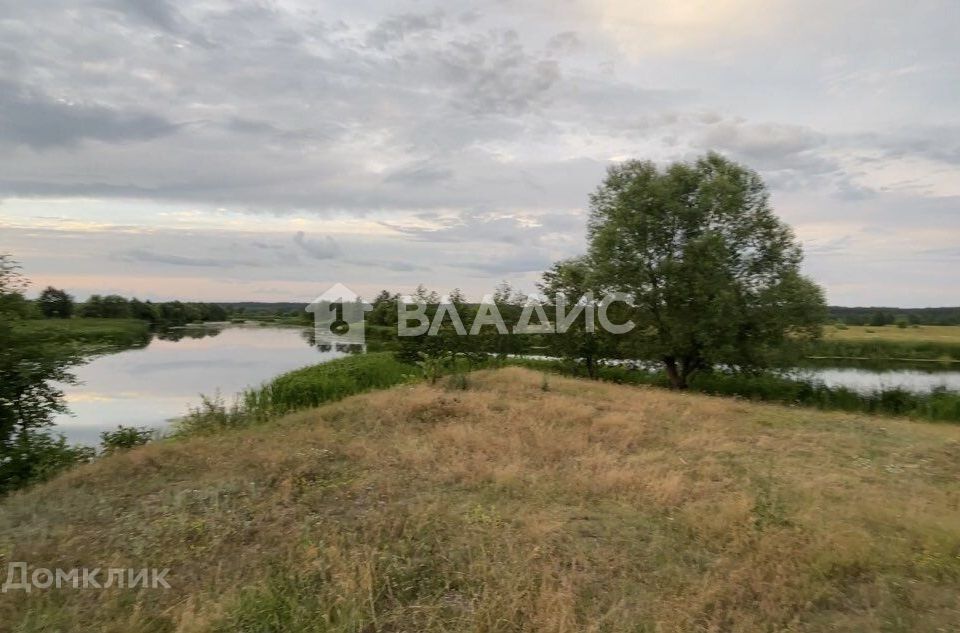 земля р-н Тамбовский с Малиновка ул Заречная фото 3