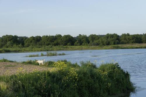 гостиницу городской округ Дмитровский г Яхрома уч. 23, пос. Панорамы фото 31