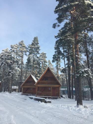 гостиницу р-н Пустошкинский д Холюны фото 17