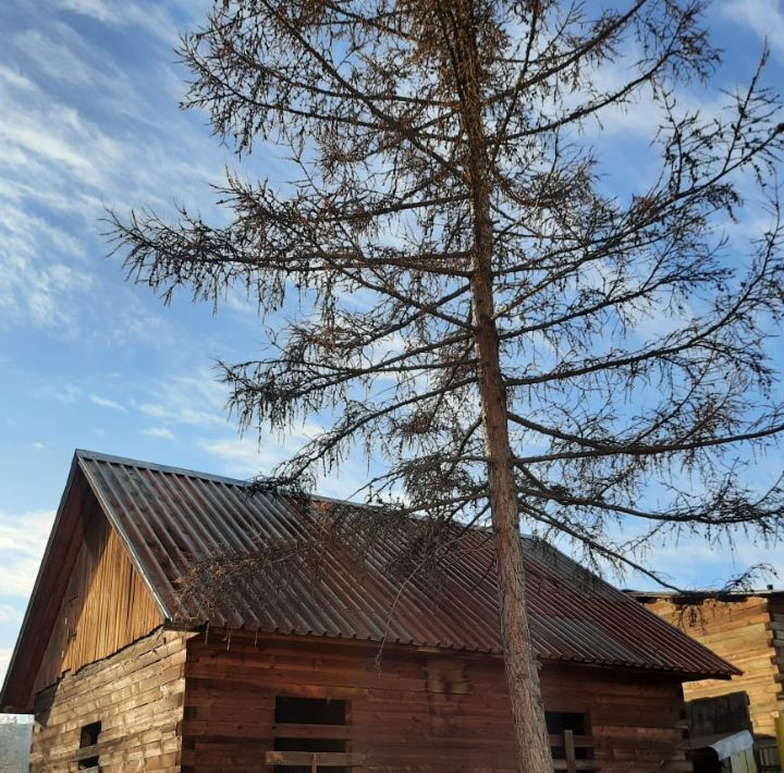 земля г Красноярск р-н Свердловский ул Графитная фото 3