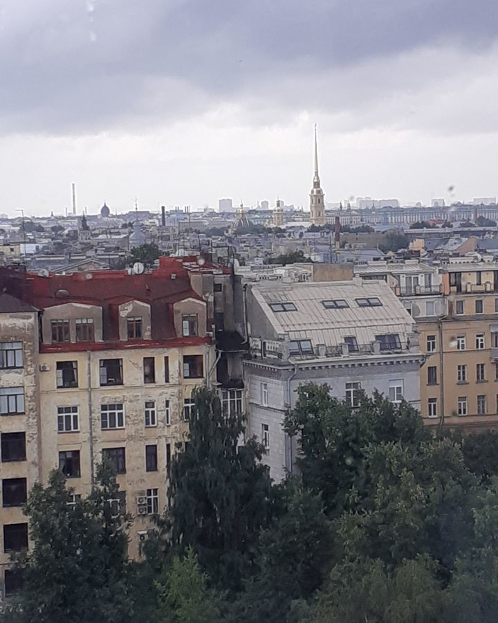 комната г Санкт-Петербург метро Петроградская ул Льва Толстого 7 фото 25