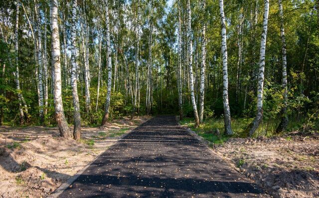 земля метро Кузьминки Таганско-Краснопресненская линия фото