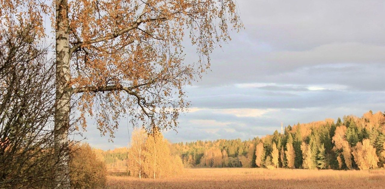 земля городской округ Дмитровский д Дубровки 72С фото 10