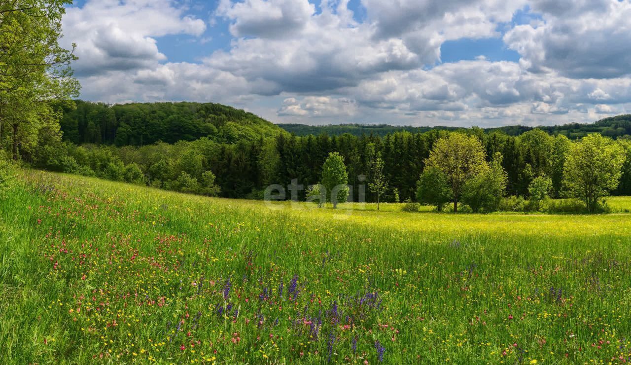 земля р-н Белозерский г Белозерск пр-кт Советский фото 19