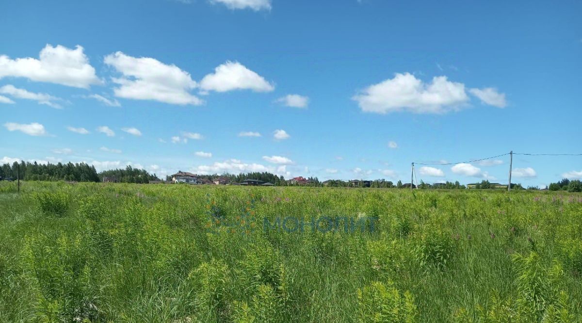 земля р-н Богородский д Бурцево ул Радужная фото 5