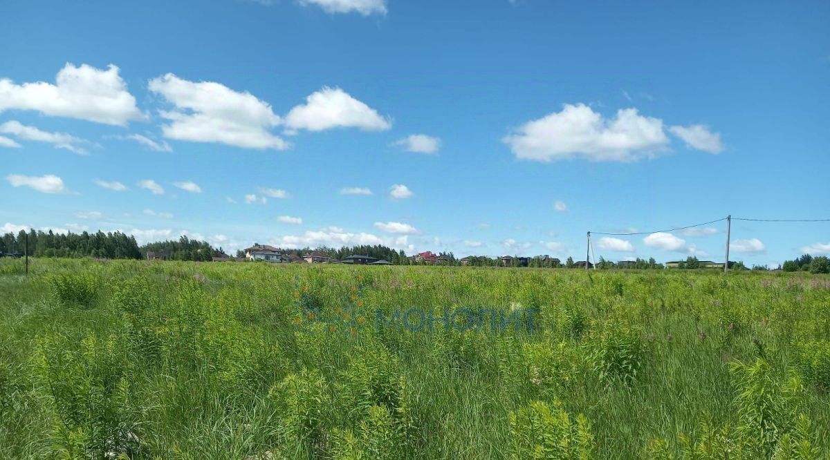 земля р-н Богородский д Бурцево ул. Тополиная фото 5