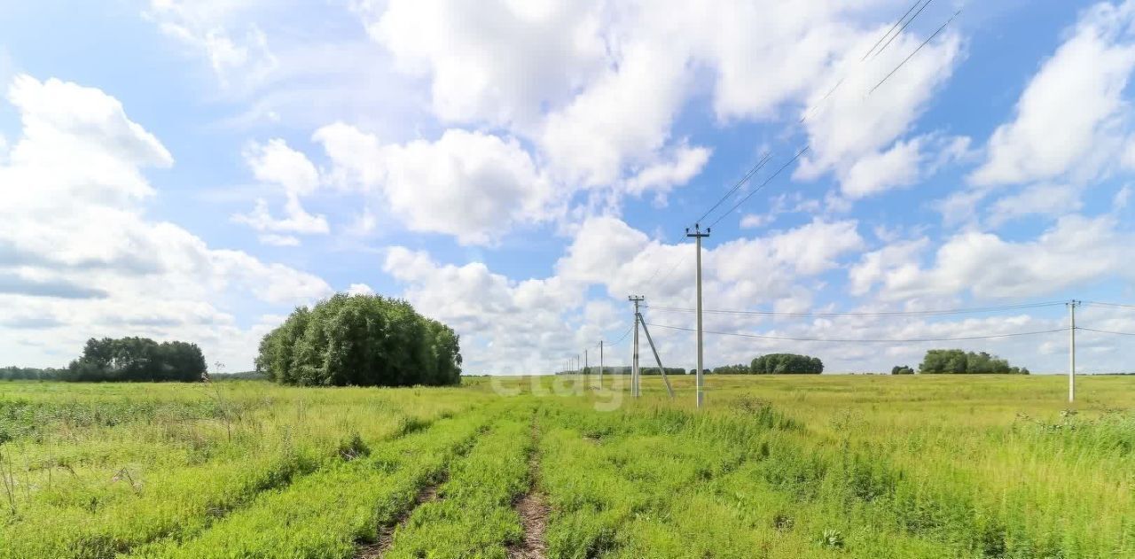 земля р-н Тюменский д Большие Акияры фото 8