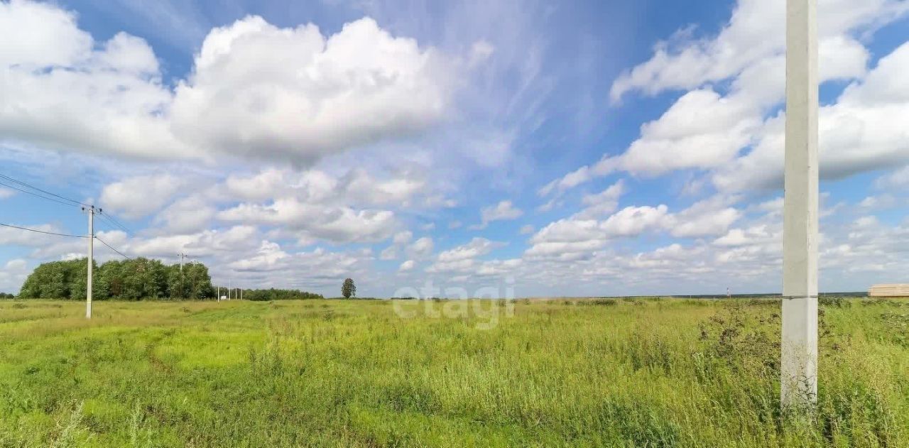 земля р-н Тюменский д Большие Акияры фото 9