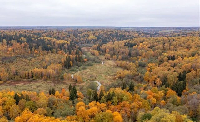 39 км, Деденево, Дмитровское шоссе фото