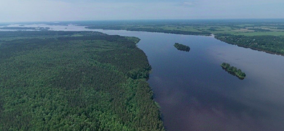 земля р-н Калязинский с/п Алферовское д Ново-Окатово фото 19