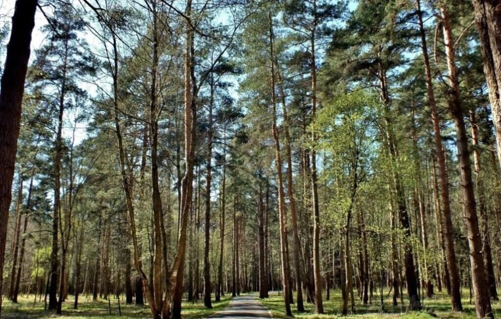 квартира городской округ Одинцовский рп Заречье ул Университетская 2 Говорово, Заречье фото 13