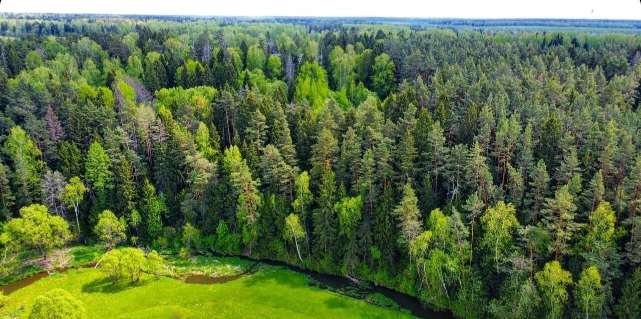 земля городской округ Чехов с Новый Быт 58 км, Чехов, Симферопольское шоссе фото 4