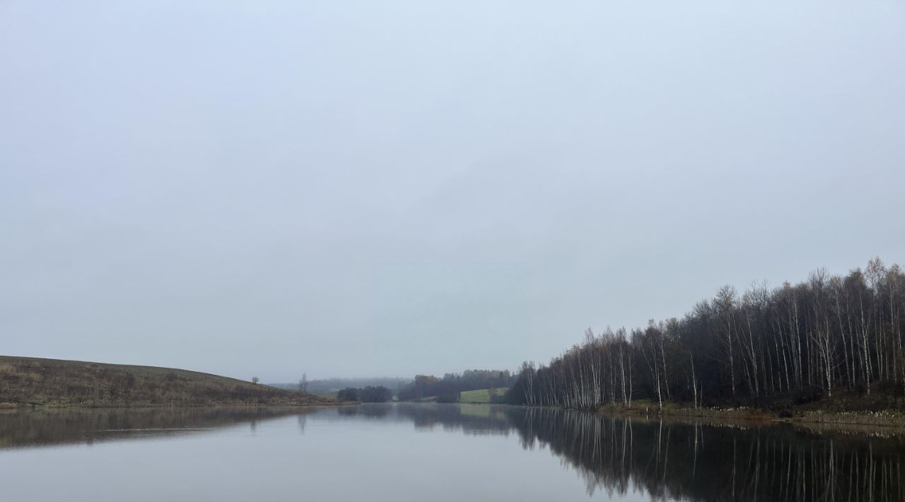 дом городской округ Солнечногорск д Горки фото 29