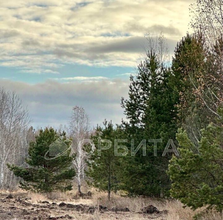 земля р-н Нижнетавдинский с Тюнево фото 3