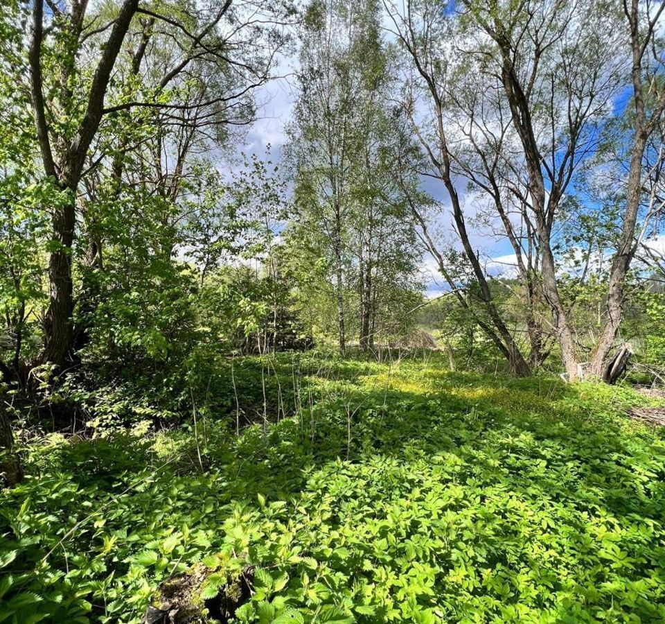 дом городской округ Чехов д Климовка 51 км, Чехов, Симферопольское шоссе фото 14