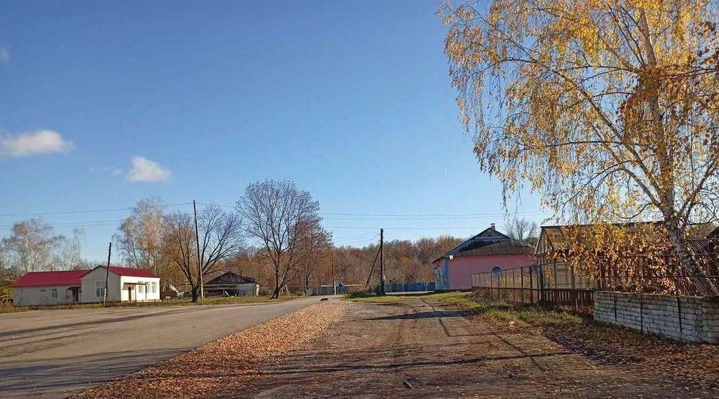 дом р-н Кораблинский д Залесно-Чулково ул Садовая фото 14