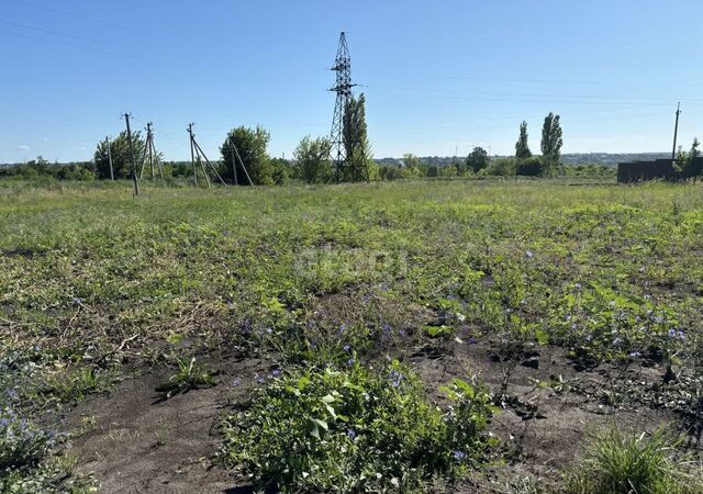 земля Пушкарское сельское поселение, Стрелецкое фото