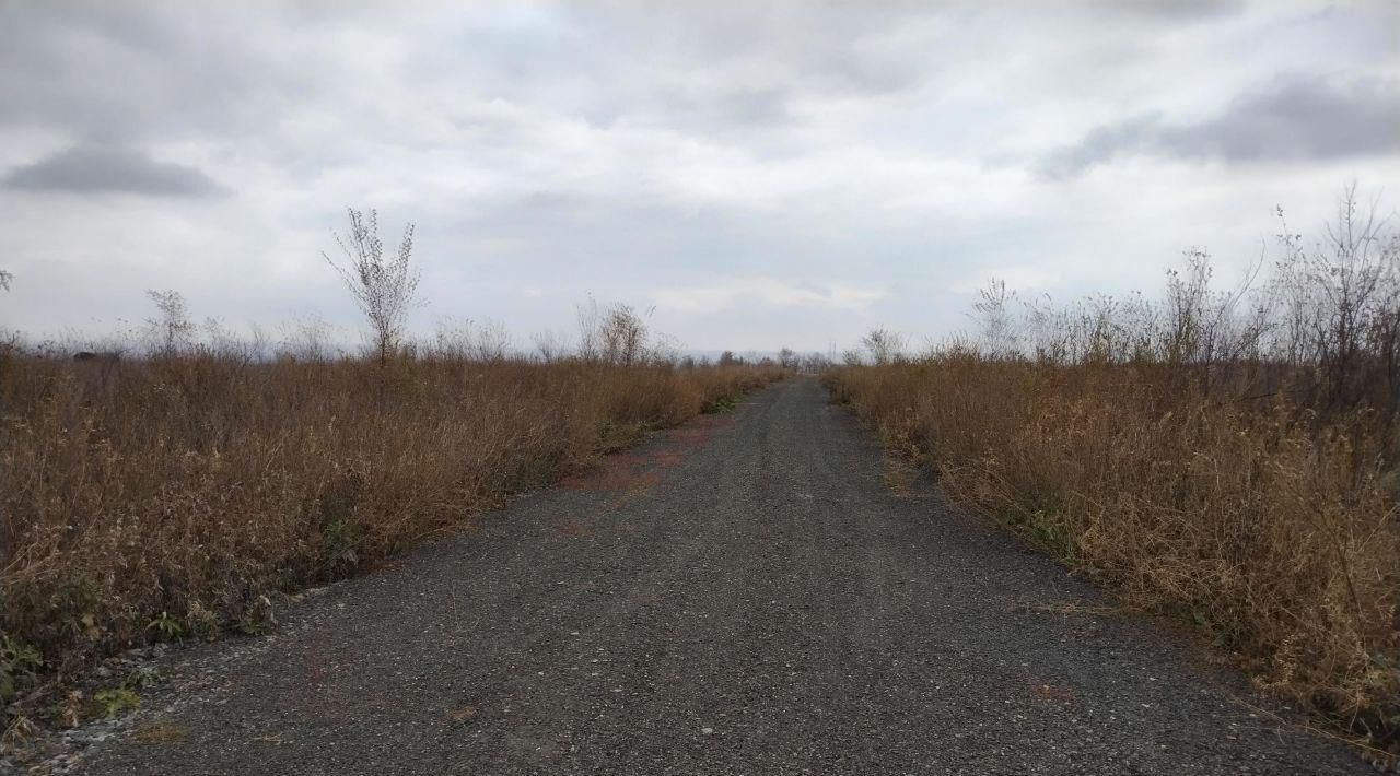 земля р-н Оренбургский п Ленина ул Доблести фото 14