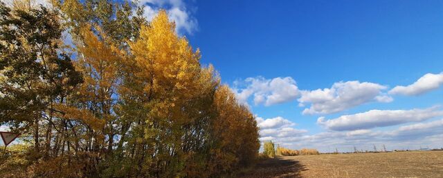 Щепкинское сельское поселение, Ростов-на-Дону фото