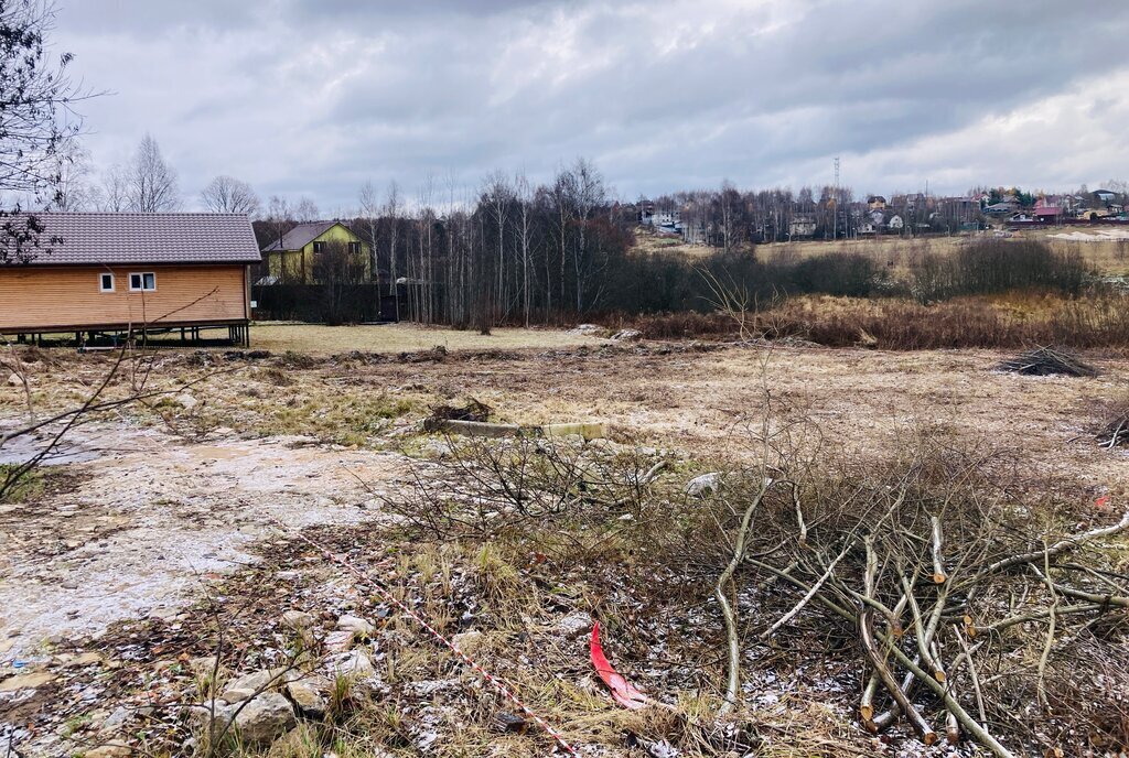 земля городской округ Дмитровский п Новонекрасовский ул Нижняя Лобня фото 1