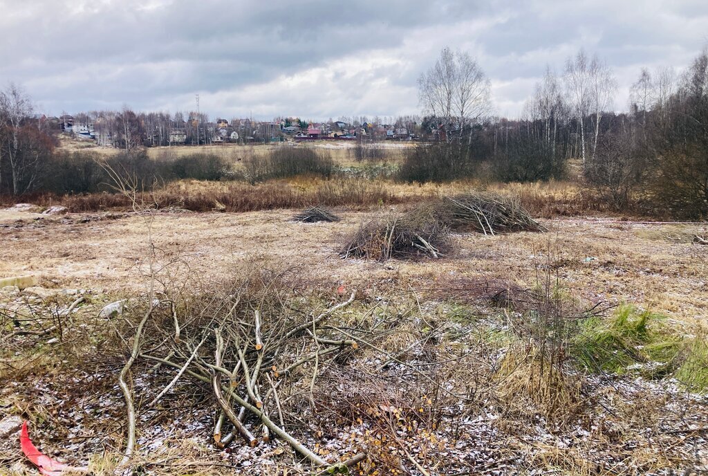 земля городской округ Дмитровский п Новонекрасовский ул Нижняя Лобня фото 3