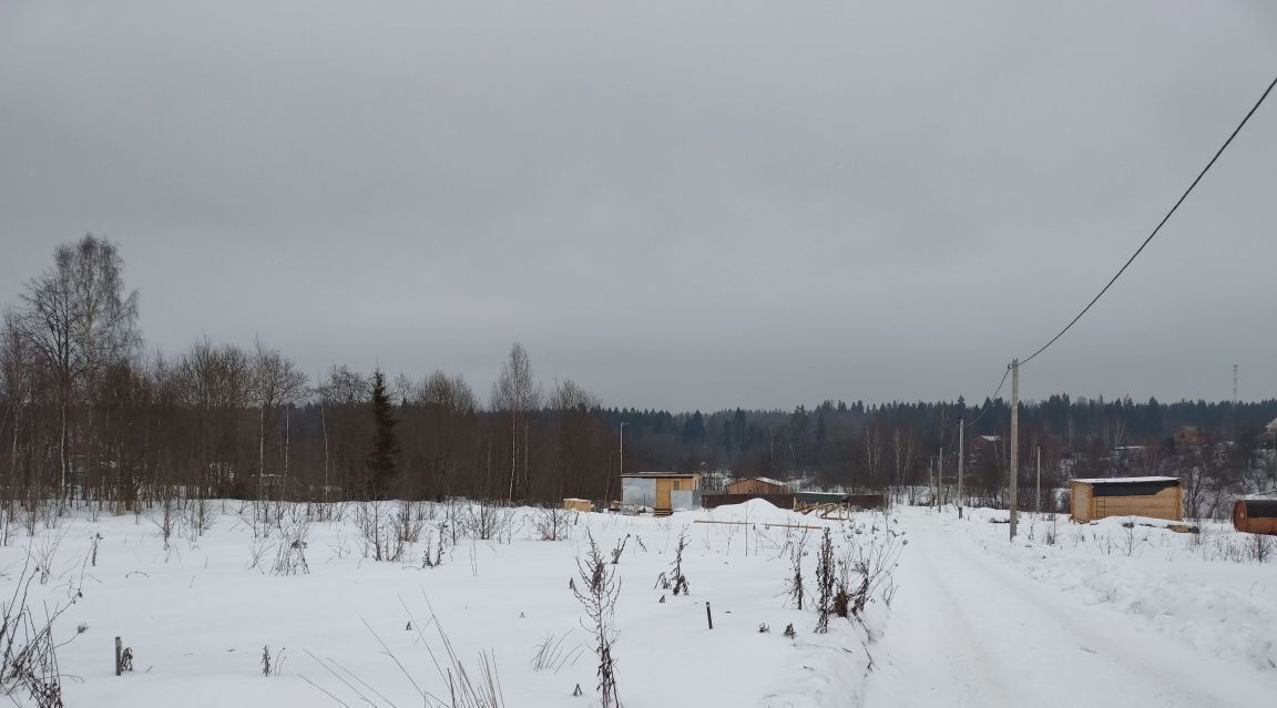 земля городской округ Клин д Степаньково тер Степаньковские дачи фото 2