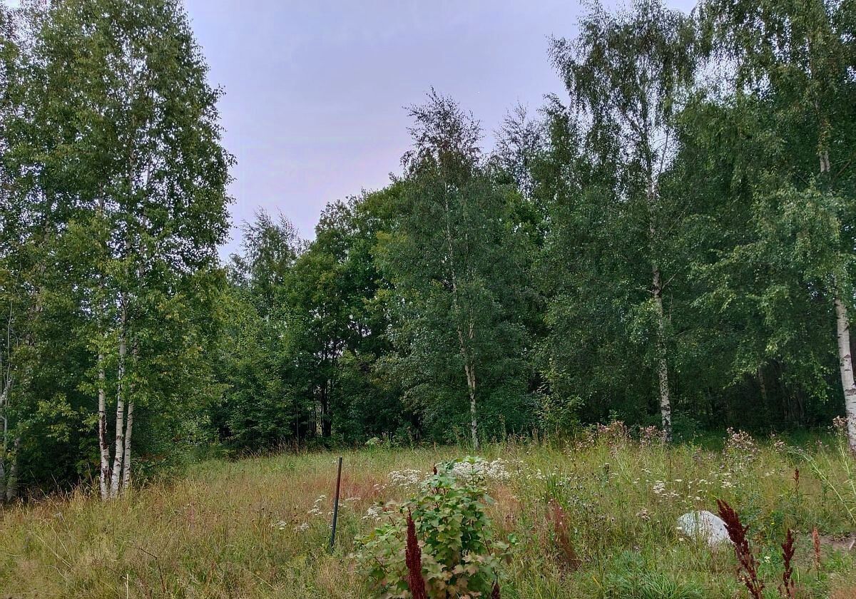 земля городской округ Подольск 19 км, д. Жарково, Варшавское шоссе фото 2