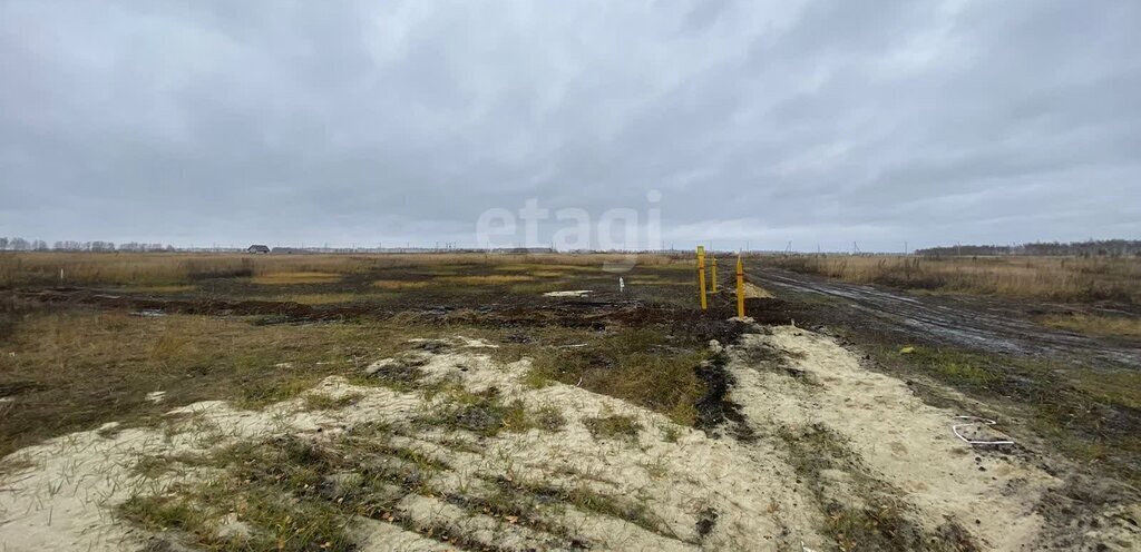 земля р-н Тамбовский п совхоза "Комсомолец" коттеджный посёлок Комсомолец фото 5