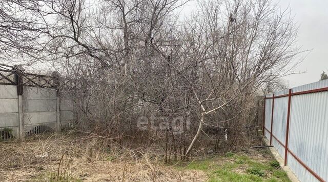 дп Донская Чаша ул Васильковая фото