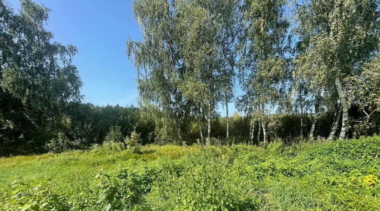 офис городской округ Солнечногорск д Благовещенка Химки городской округ фото 1