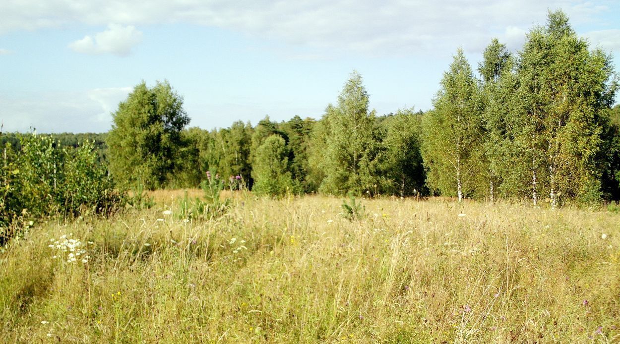 земля р-н Тарусский д Романовка фото 5