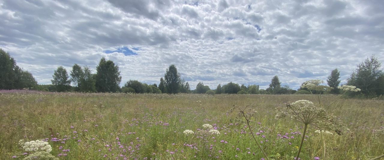 офис городской округ Клин д Орлово фото 2