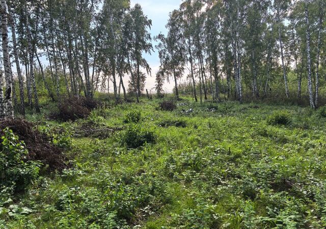 земля с Дрокино ул Еловая сельсовет, Красноярск, Солонцовский фото